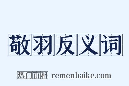 敬羽反义词是什么意思的图片